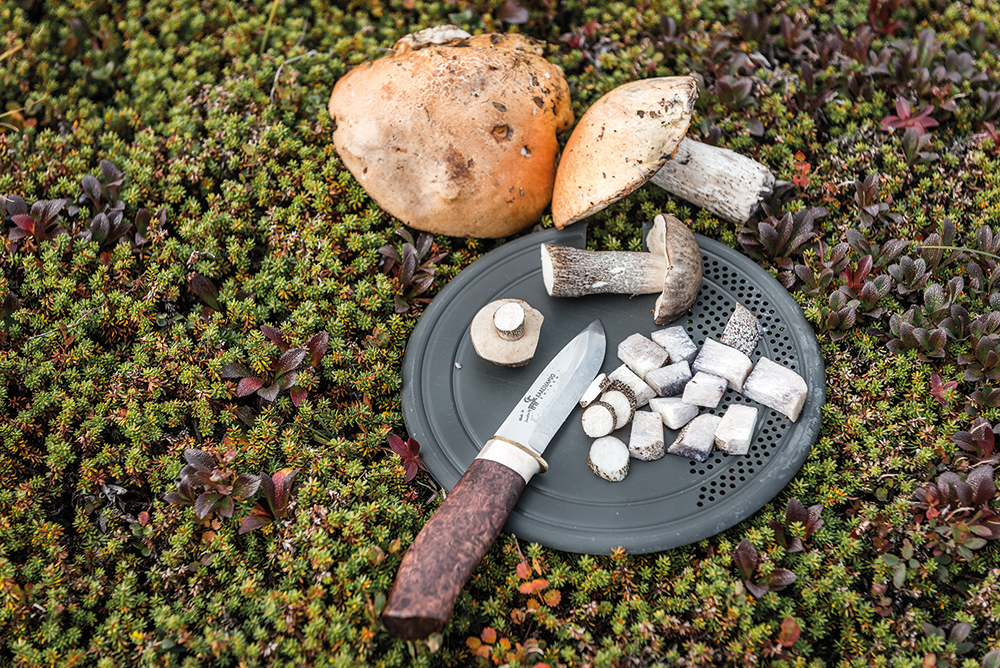 Trangia Multifunktionsbrett 27 Klein